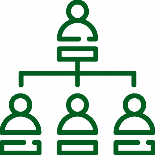 Estructura Organizacional